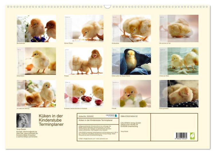 Produktbild: K&uuml;ken in der Kinderstube Terminplaner (Wandkalender 2026 DIN A2 quer), CALVENDO Monatskalender