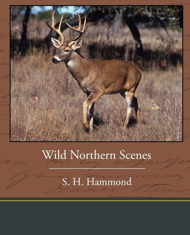 Produktbild: Wild Northern Scenes