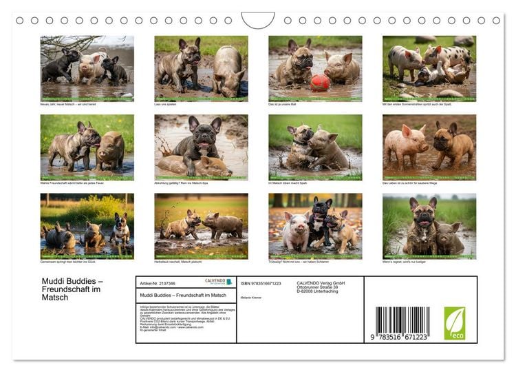 Produktbild: Muddi Buddies &ndash; Freundschaft im Matsch (Wandkalender 2026 DIN A4 quer), CALVENDO Monatskalender