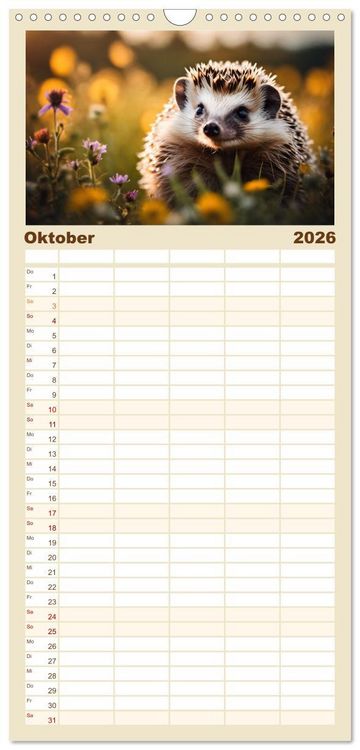 Produktbild: Familienplaner 2026 - Igel - Wildtier des Jahres 2024 mit 5 Spalten (Wandkalender, 21 x 45 cm) CALVENDO