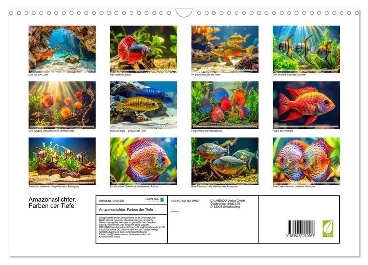 Produktbild: Amazonaslichter. Farben der Tiefe (Wandkalender 2026 DIN A3 quer), CALVENDO Monatskalender