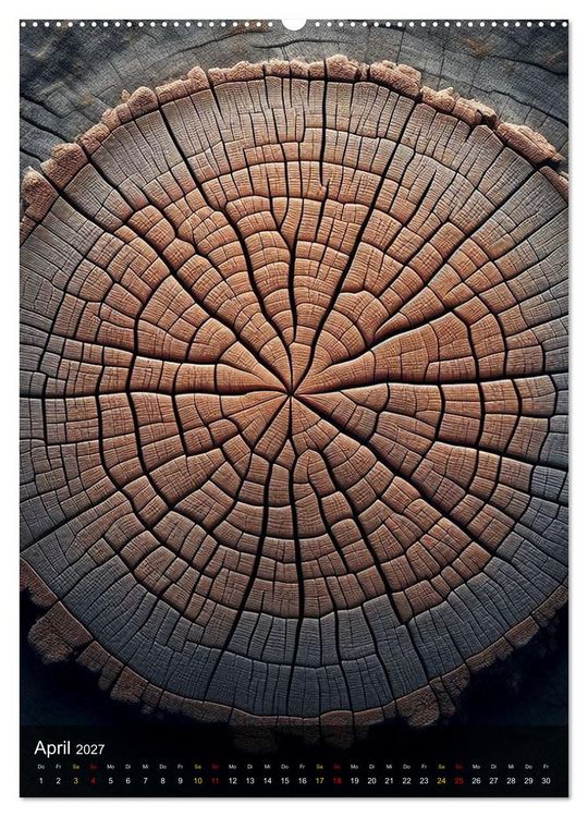 Produktbild: Geometrie der Natur &ndash; Formen, Muster, Strukturen (Wandkalender 2027 DIN A2 hoch), CALVENDO Monatskalender