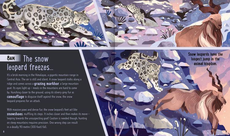 Produktbild: Big Cats (A Day in the Life)