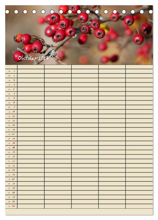 Produktbild: Kleine Natursch&ouml;nheiten (Tischkalender 2026 DIN A5 hoch), CALVENDO Monatskalender