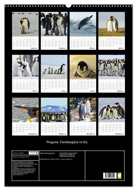 Produktbild: Pinguine. Familiengl&uuml;ck im Eis (Wandkalender 2026 DIN A2 hoch), CALVENDO Monatskalender