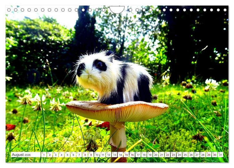 Produktbild: Pilz-Tiere (Wandkalender 2026 DIN A4 quer), CALVENDO Monatskalender