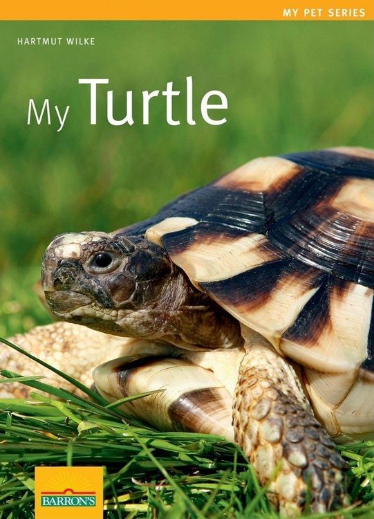 Produktbild: Wilke, H: My Turtle