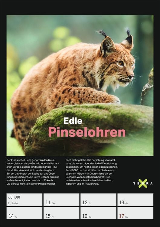 Produktbild: Terra X &ndash; Das Wunder Erde Wochenplaner 2027