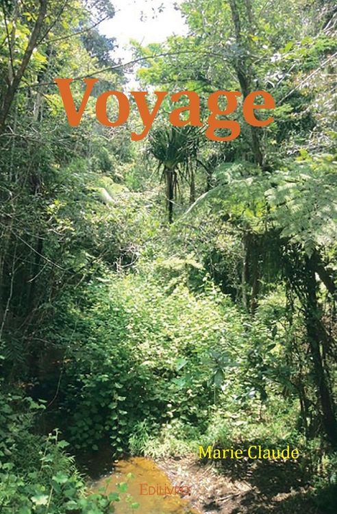Produktbild: Voyage