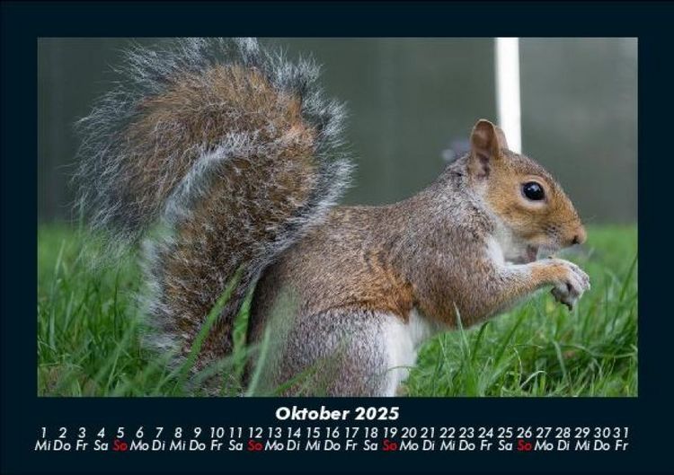 Produktbild: London 2025 Fotokalender DIN A5