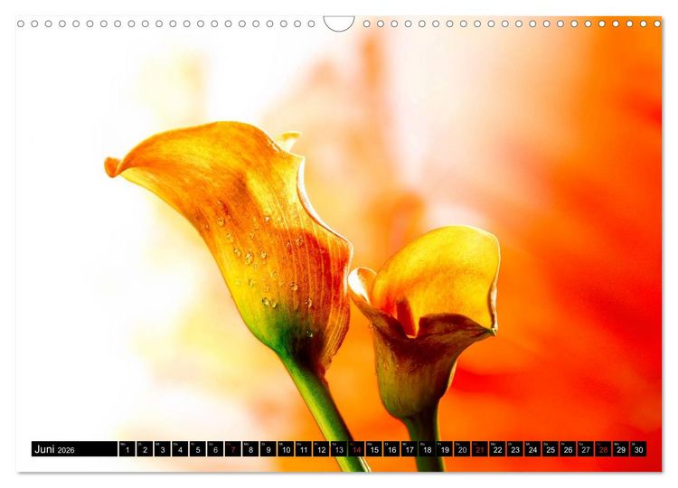 Produktbild: Flowers / 2026 (Wandkalender 2026 DIN A3 quer), CALVENDO Monatskalender