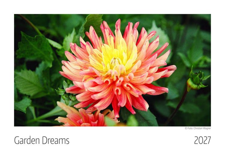 Produktbild: Garden Dreams Kalender 2027
