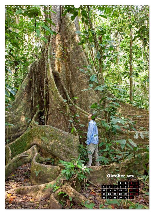 Produktbild: Peru - Kultur - Menschen - Natur (Wandkalender 2026 DIN A2 hoch), CALVENDO Monatskalender