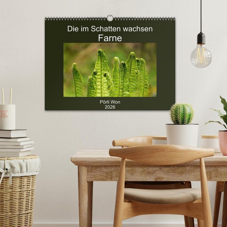 Produktbild: Die im Schatten wachsen - Farne (Wandkalender 2026 DIN A3 quer), CALVENDO Monatskalender