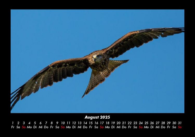 Produktbild: Adler 2025 Fotokalender DIN A3