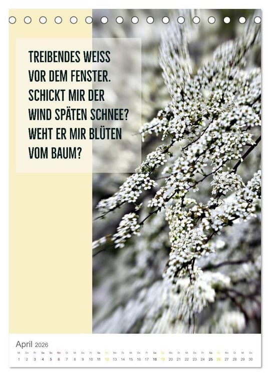 Produktbild: Tagesfarben - Poesie in Wort und Bild (Tischkalender 2026 DIN A5 hoch), CALVENDO Monatskalender