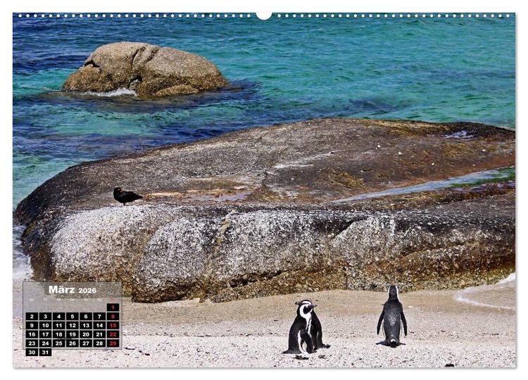 Produktbild: S&Uuml;DAFRIKA - Landschaften der Extreme (Wandkalender 2026 DIN A2 quer), CALVENDO Monatskalender