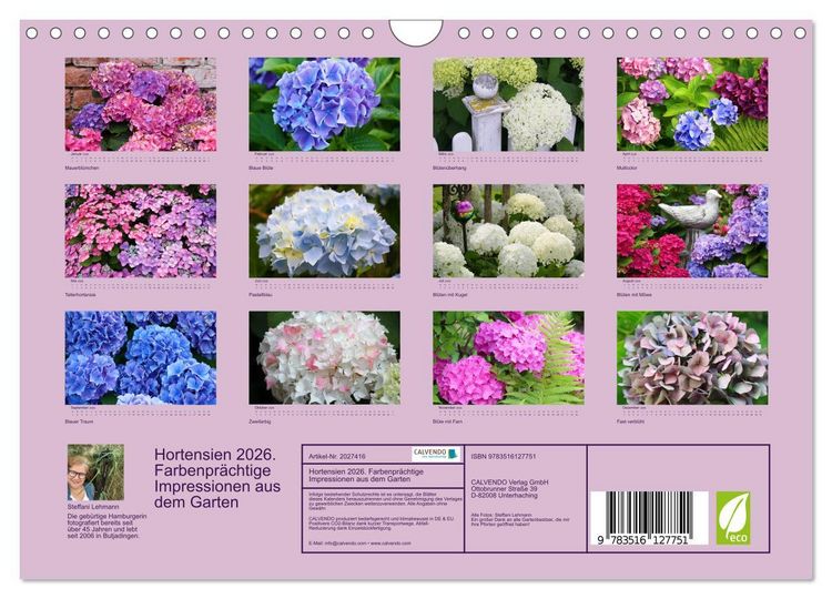 Produktbild: Hortensien 2026. Farbenpr&auml;chtige Impressionen aus dem Garten (Wandkalender 2026 DIN A4 quer), CALVENDO Monatskalender