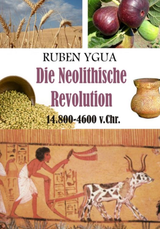 Produktbild: Die Neolithische Revolution