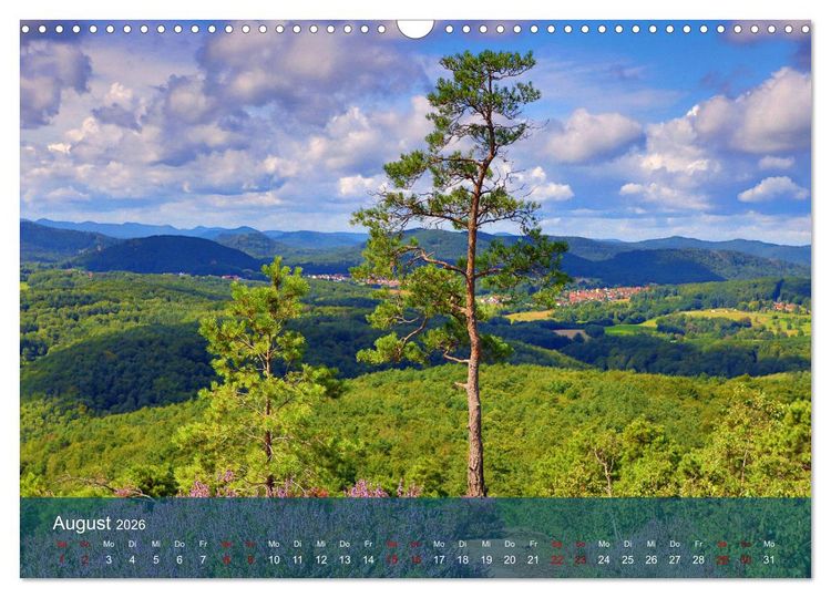 Produktbild: Wanderparadies S&uuml;dpfalz (Wandkalender 2026 DIN A3 quer), CALVENDO Monatskalender