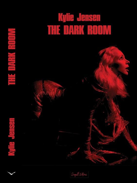 Produktbild: The Dark Room