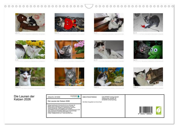 Produktbild: Die Launen der Katzen 2026 (Wandkalender 2026 DIN A3 quer), CALVENDO Monatskalender