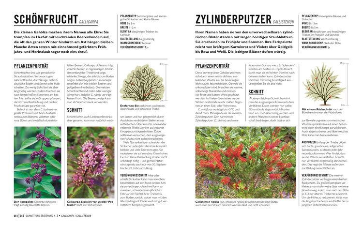 Produktbild: Gr&uuml;nes Gartenwissen. Pflanzen richtig schneiden