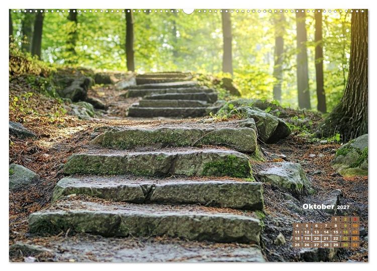 Produktbild: Stufe um Stufe - Treppen (hochwertiger Premium Wandkalender 2027 DIN A2 quer), Kunstdruck in Hochglanz