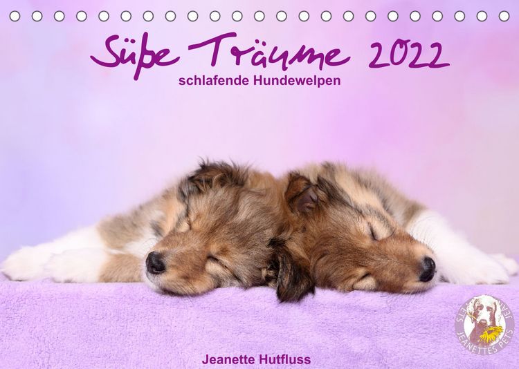 Produktbild: S&uuml;&szlig;e Tr&auml;ume 2022 - schlafende Hundewelpen (Tischkalender 2022 DIN A5 quer)