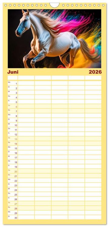 Produktbild: Familienplaner 2026 - Pferde im Farbenrausch mit 5 Spalten (Wandkalender, 21 x 45 cm) CALVENDO