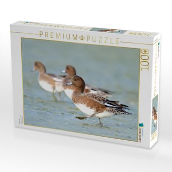 Produktbild: CALVENDO Puzzle Pfeifente | 1000 Teile Lege-Gr&ouml;&szlig;e 64x48cm Foto-Puzzle f&uuml;r gl&uuml;ckliche Stunden