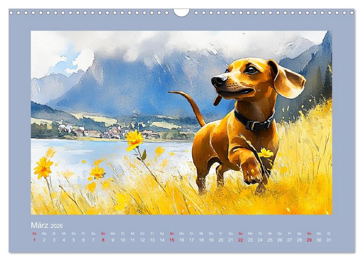 Produktbild: Dackelzauber. Charmante Begleiter im lieblichen Aquarell-Stil (Wandkalender 2026 DIN A3 quer), CALVENDO Monatskalender