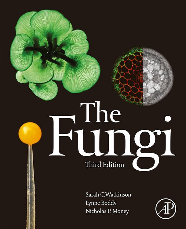 Produktbild: The Fungi