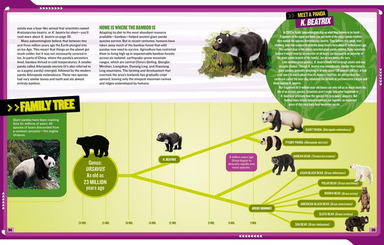 Produktbild: National Geographic Kids Mission: Panda Rescue