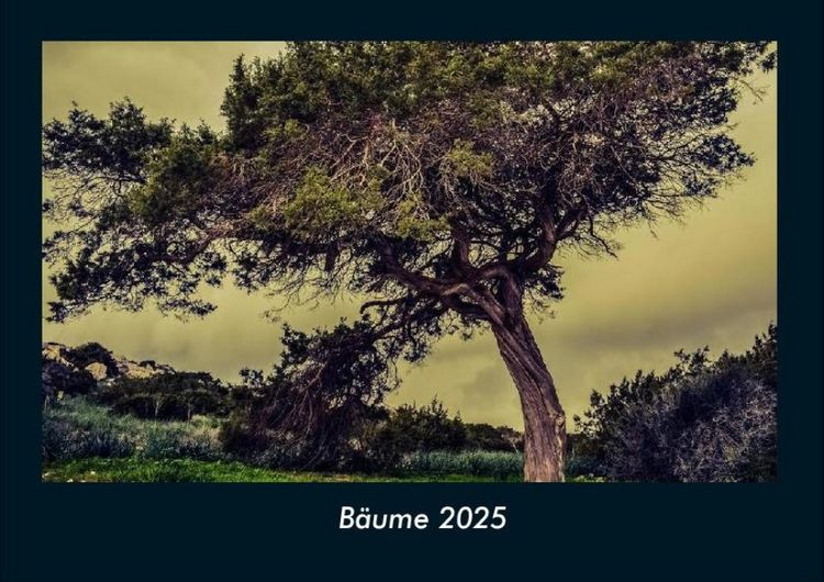 Produktbild: B&auml;ume 2025 Fotokalender DIN A4