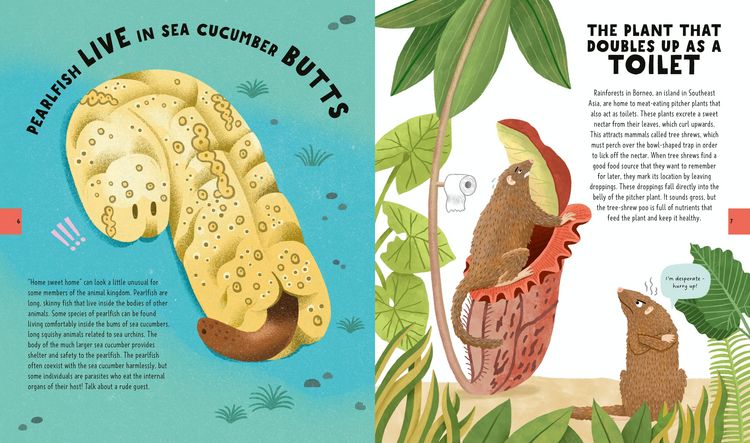 Produktbild: The Big Book of Useless Science Knowledge