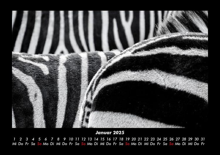 Produktbild: Tierkalender 2025 Fotokalender DIN A3