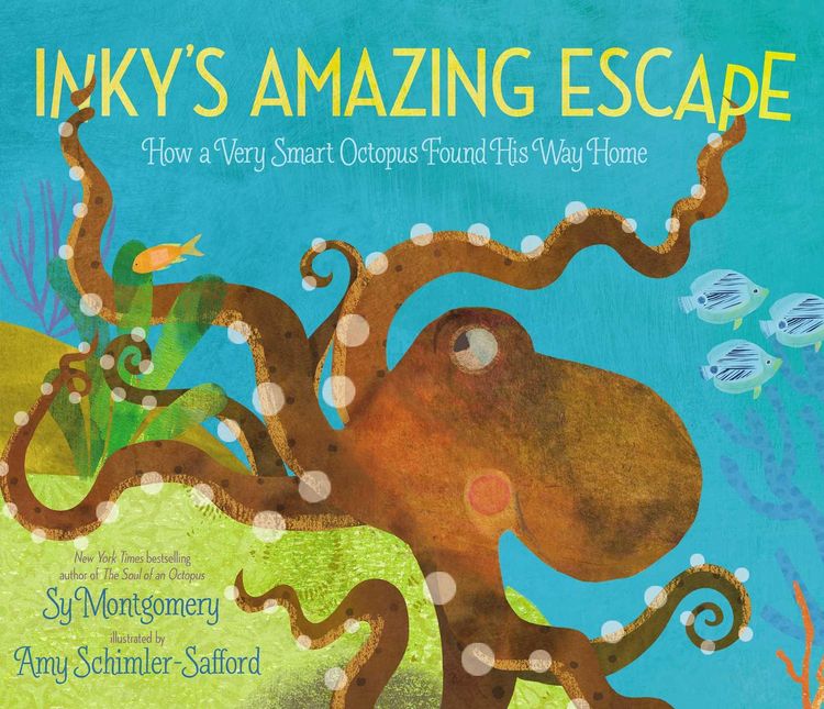 Produktbild: Inky's Amazing Escape