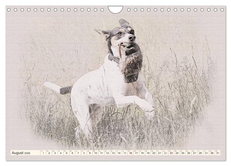 Produktbild: Bodeguero Andaluz 2026 (Wandkalender 2026 DIN A4 quer), CALVENDO Monatskalender