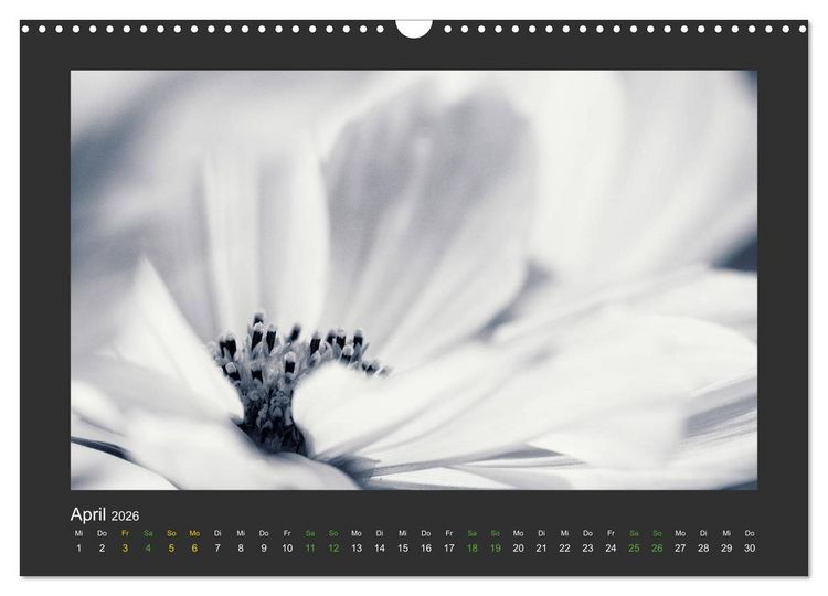Produktbild: Pflanzen in Schwarz und Wei&szlig; (Wandkalender 2026 DIN A3 quer), CALVENDO Monatskalender