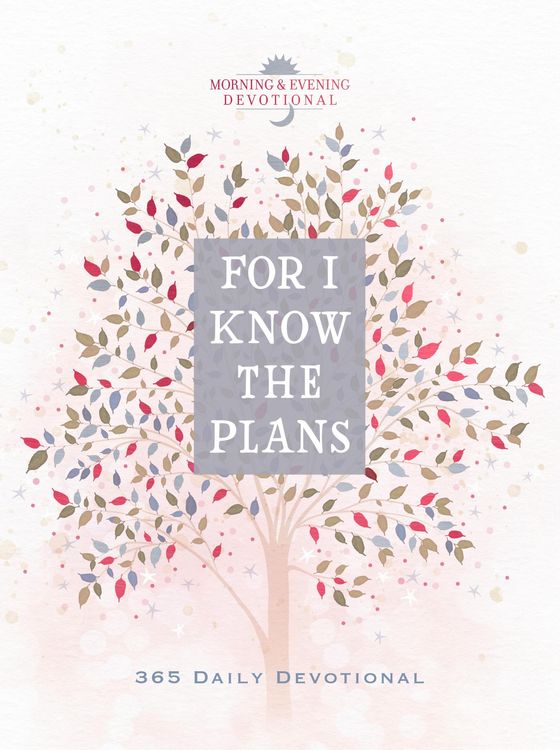 Produktbild: For I Know the Plans