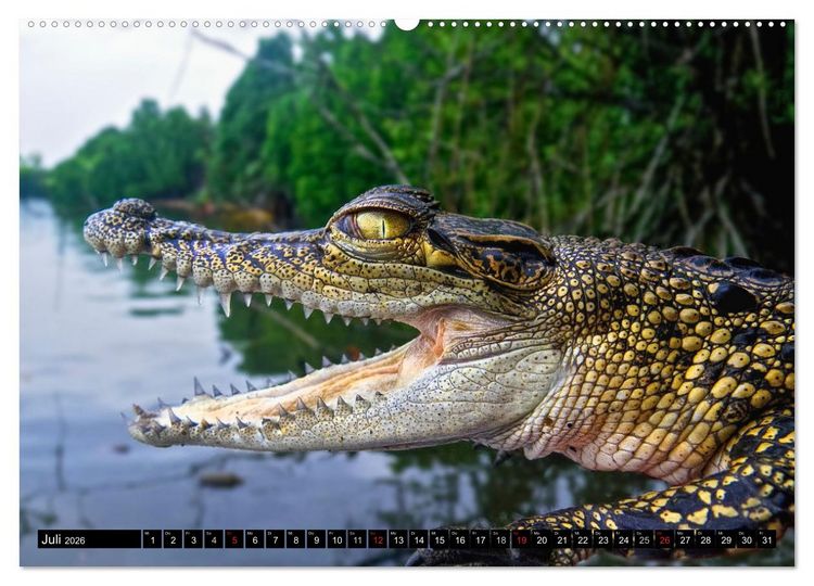 Produktbild: Sri Lanka 2026 &ndash; Exotische Welt (Wandkalender 2026 DIN A2 quer), CALVENDO Monatskalender