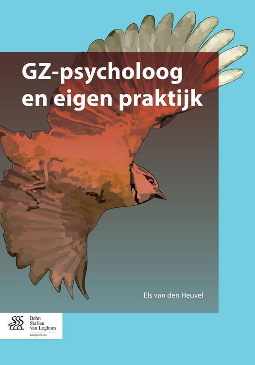 Produktbild: GZ-psycholoog en eigen praktijk