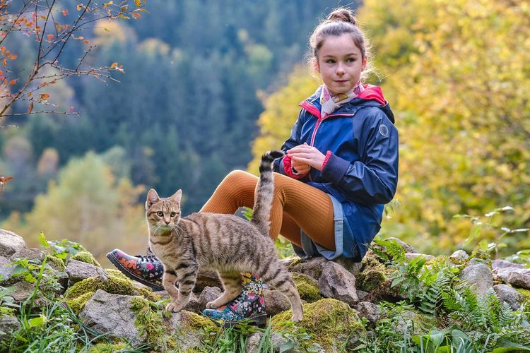 Produktbild: Lou - Abenteuer auf Samtpfoten