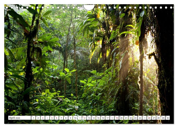 Produktbild: Faszination Naturwunder (Wandkalender 2026 DIN A4 quer), CALVENDO Monatskalender