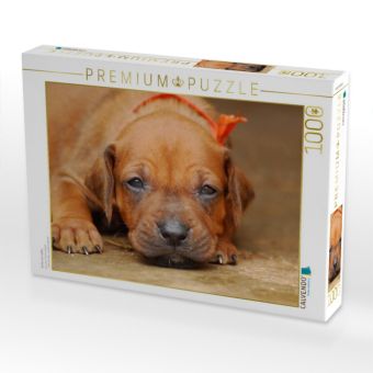 Produktbild: CALVENDO Puzzle Ich bin ein nettes | 1000 Teile Lege-Gr&ouml;&szlig;e 64x48cm Foto-Puzzle f&uuml;r gl&uuml;ckliche Stunden