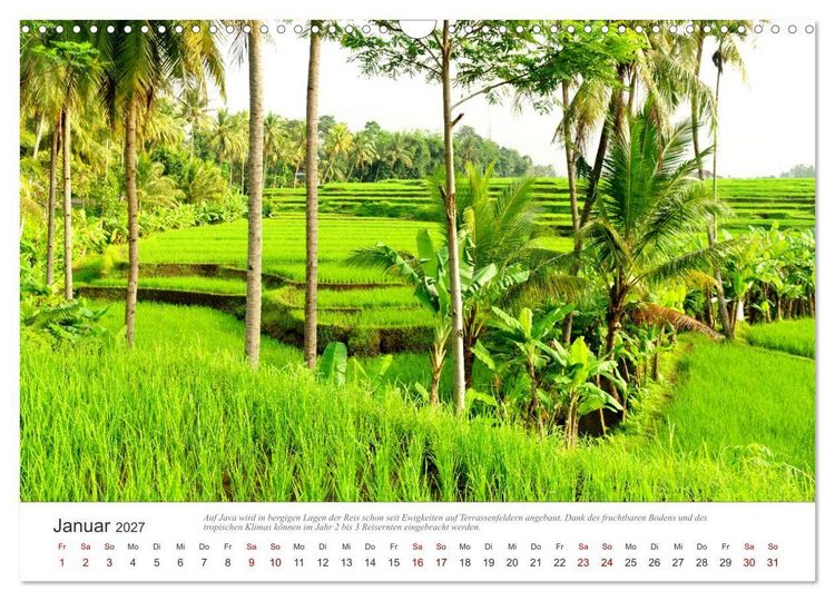 Produktbild: JAVA Natur pur (Wandkalender 2027 DIN A3 quer), CALVENDO Monatskalender