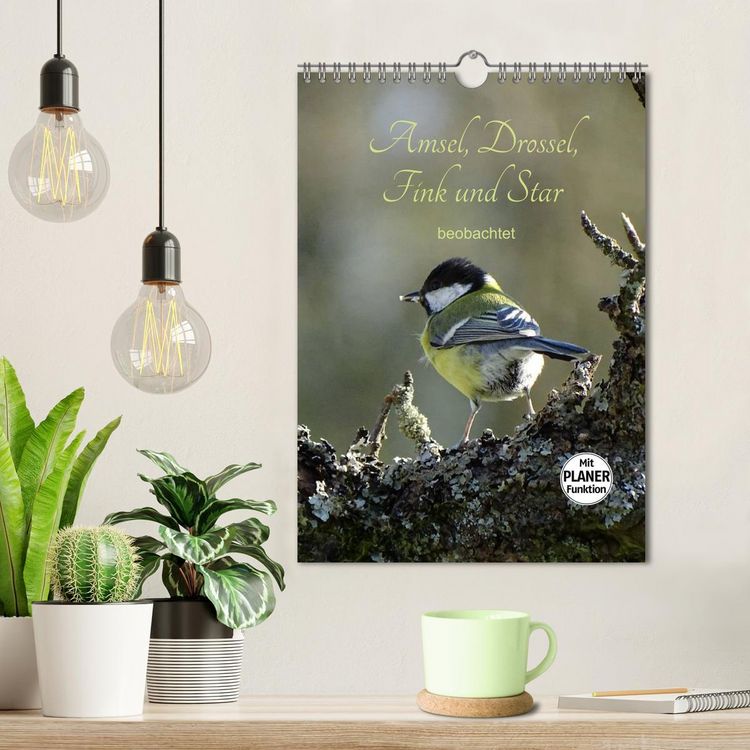 Produktbild: Amsel, Drossel, Fink und Star - beobachtet (Wandkalender 2026 DIN A4 hoch), CALVENDO Monatskalender