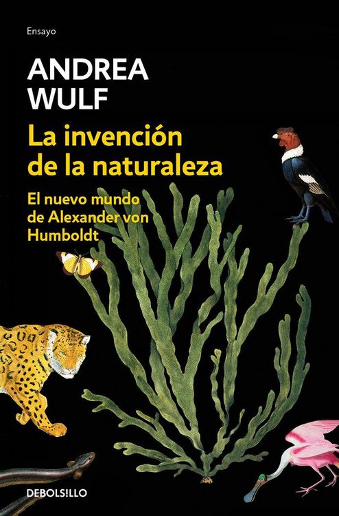 Produktbild: La Invenci&oacute;n de la Naturaleza: El Nuevo Mundo de Alexander Von Humbolt / The Invention of Nature: Alexander Von Humbolt's New World