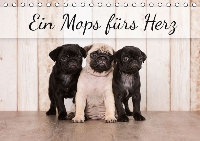 Produktbild: Ein Mops f&uuml;rs Herz (Tischkalender immerw&auml;hrend DIN A5 quer)